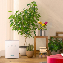 Resigilat - Umidificator cu ultrasunete AlecoAir U30 IONIC, Ionizare, Higrostat, Timer, Telecomanda, Display Digital